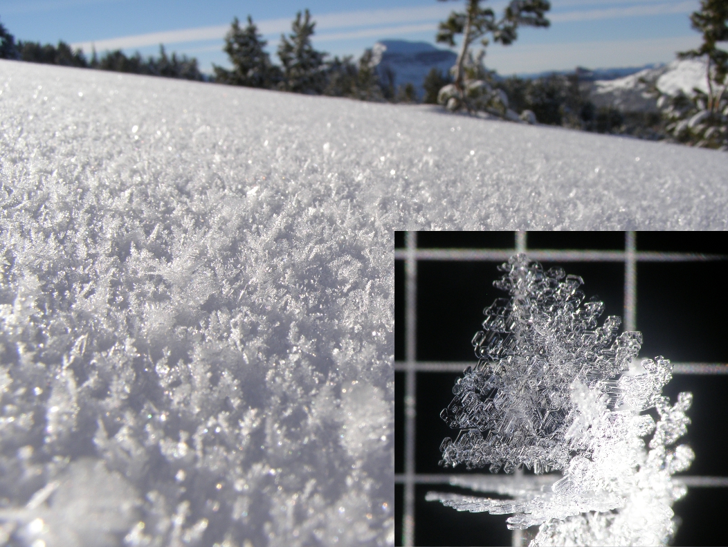 Surface hoar crystals Surface hoar crystals