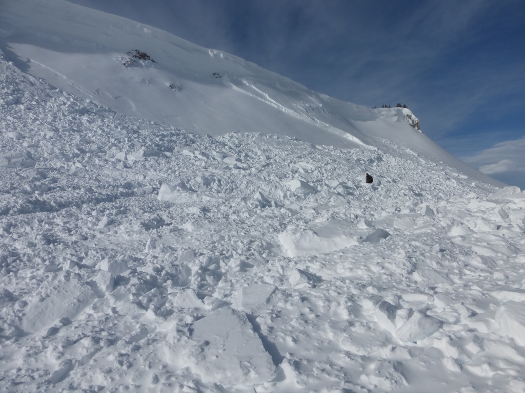Avalanche Debris Cooke City - 2/6/15 Avalanche Debris Cooke City - 2/6/15
