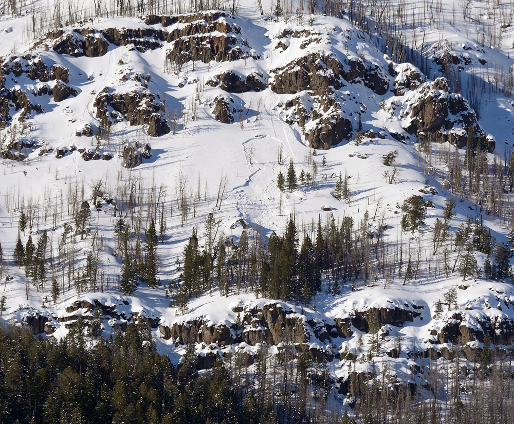 YNP: small avalanche on Druid Peak