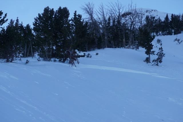 Emigrant Peak Avalanche 11/8/15 Emigrant Peak Avalanche 11/8/15
