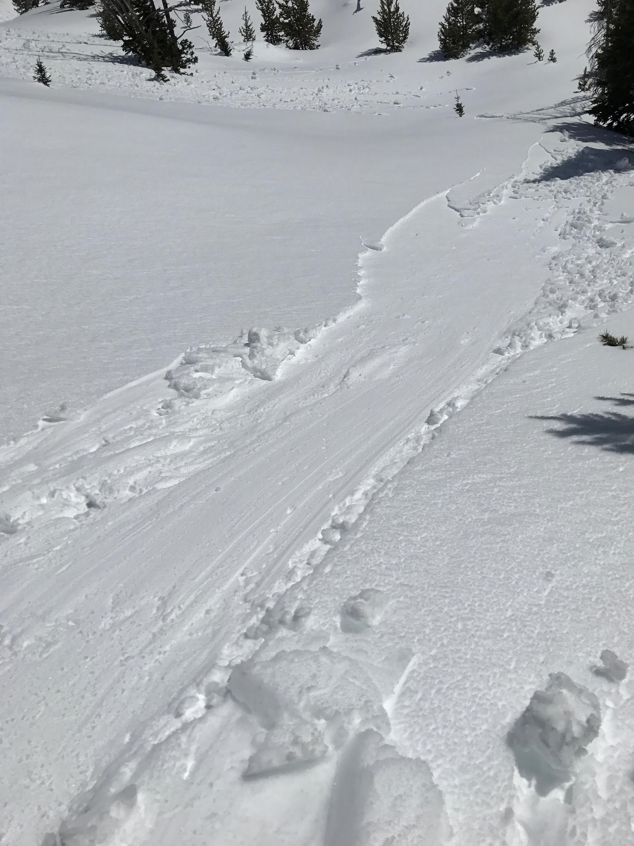 Wet loose avalanche, Cooke City Wet loose avalanche, Cooke City