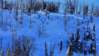 Taylor Fork - North Facing Avalalnche